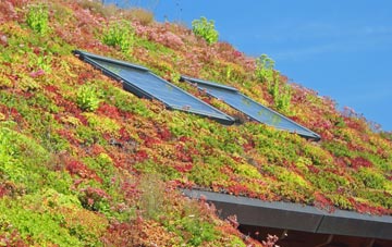 Great Heck living roof systems