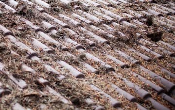 Great Heck roof cleaning companies